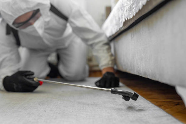 Professional Termite Control technician working in Eagle Lake, FL